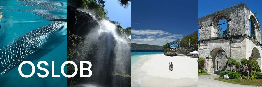 Oslob Cebu One of the best places to visit in Cebu Post Pandemic
