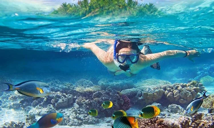 Snorkeling in Mactan island