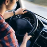 Choosing the best car rental company