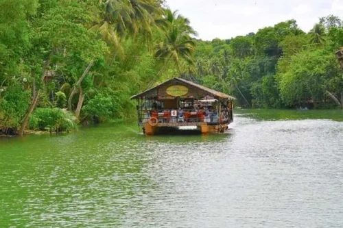 Bohol Countryside Day Tour with Loboc River Cruise from Cebu