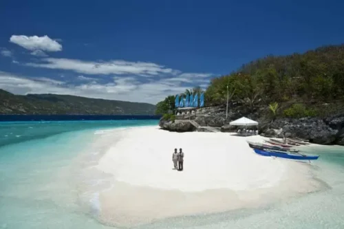 Whale Shark Snorkeling + Sumilon Sandbar + Kawasan Falls Tour Package