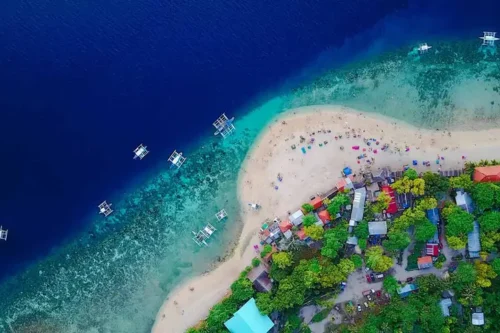 Oslob Whale Shark Snorkeling + Kawasan Falls + Pescador Island with Sardines & Turtle