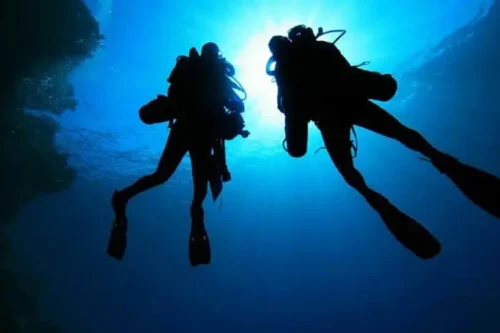 Oslob Whale Shark Scuba Diving Tour Package with Tumalog Falls